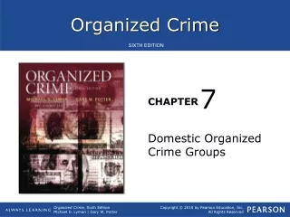Domestic Organized Crime Groups