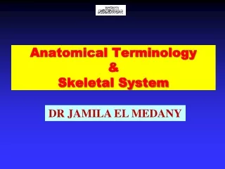 Anatomical Terminology &amp; Skeletal System