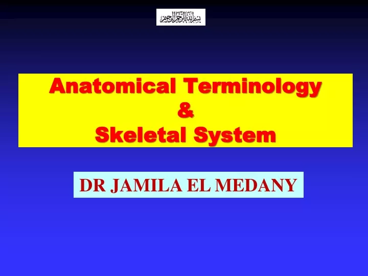 anatomical terminology skeletal system