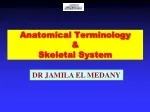 PPT - Anatomical Terminology PowerPoint Presentation, free download ...
