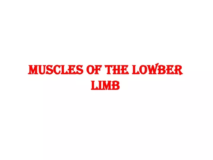 muscles of the lowber limb