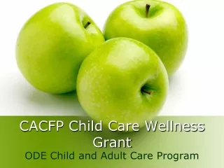 CACFP Child Care Wellness Grant