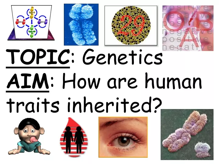 topic genetics aim how are human traits inherited