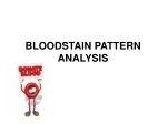 BLOODSTAIN PATTERN ANALYSIS