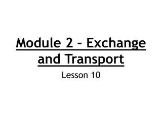 Module 2 – Exchange and Transport