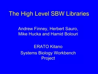 The High Level SBW Libraries