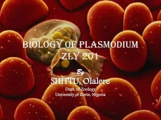Biology of Plasmodium ZLY 201
