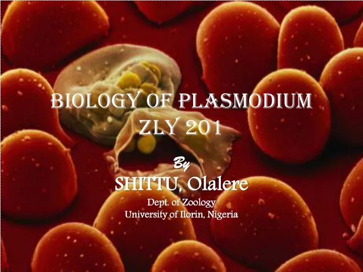 biology of plasmodium zly 201