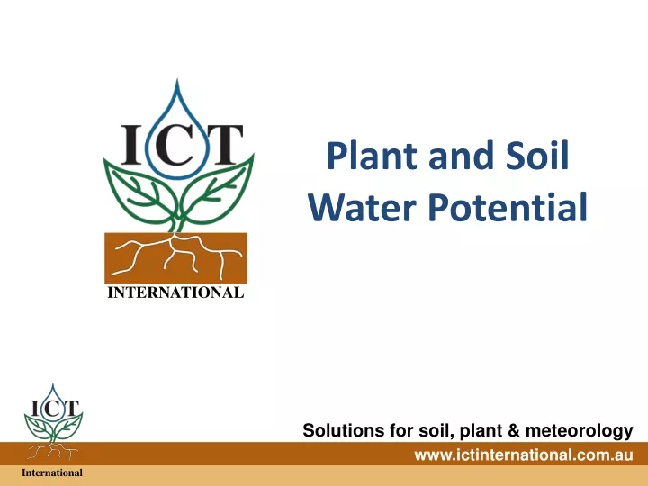 plant and soil water potential