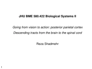 JHU BME 580.422 Biological Systems II Going from vision to action: posterior parietal cortex