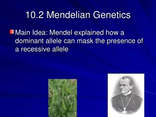 10.2 Mendelian Genetics