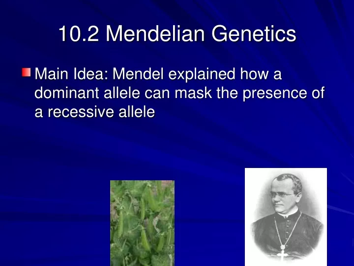 10 2 mendelian genetics