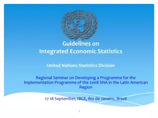 Guidelines on  Integrated Economic Statistics United Nations Statistics Division