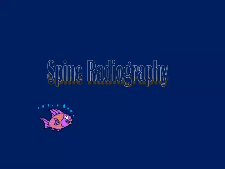 spine radiography