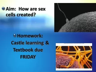 Aim:  How are sex cells created? Homework:   	Castle learning 	&amp; Textbook due  FRIDAY
