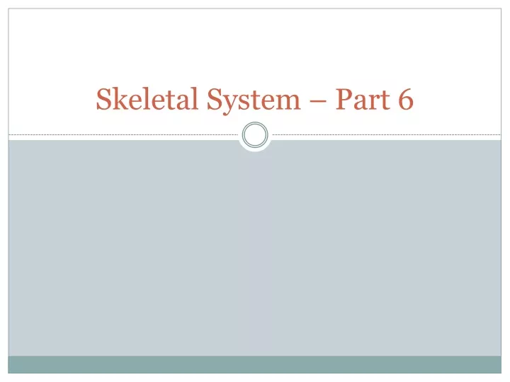 skeletal system part 6