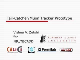 Tail-Catcher/Muon Tracker Prototype