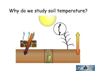 Why do we study soil temperature?
