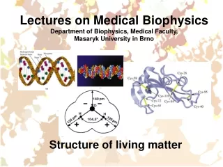 Structure of living matter