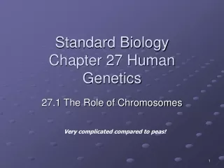 Standard Biology Chapter 27 Human Genetics