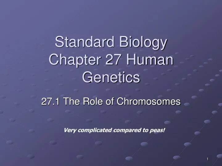 standard biology chapter 27 human genetics