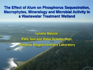 Lynette Malecki IFAS, Soil and Water Science Dept. Wetlands Biogeochemistry Laboratory