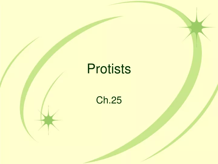 protists