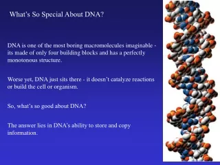 What’s So Special About DNA?