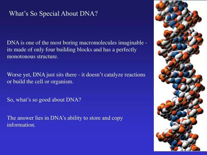 what s so special about dna