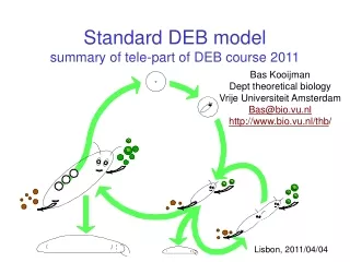 Standard DEB model summary of tele-part of DEB course 2011