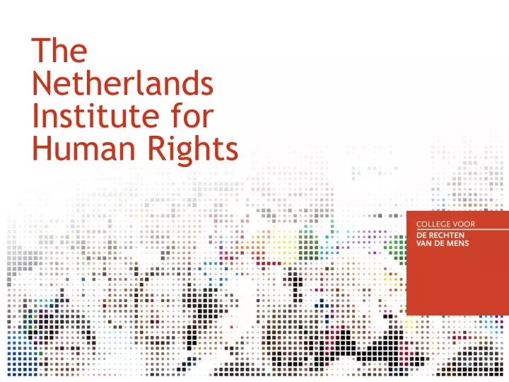 the netherlands institute for human rights