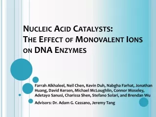 Nucleic Acid Catalysts :   The Effect  of Monovalent  Ions on  DNA Enzymes