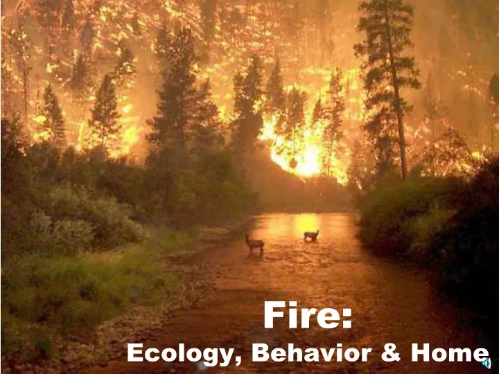 fire ecology behavior home