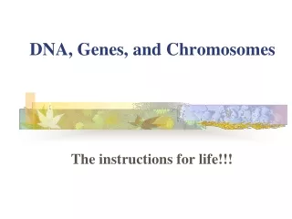 DNA, Genes, and Chromosomes