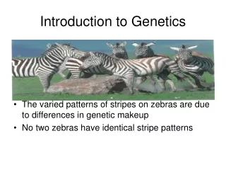 Introduction to Genetics