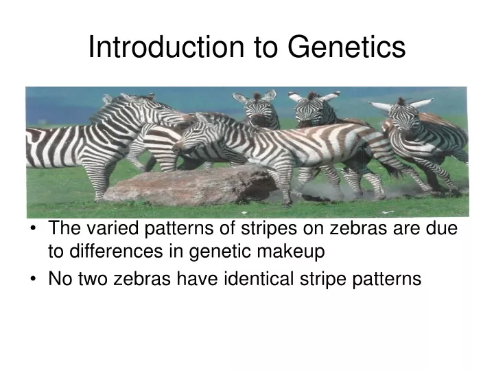 introduction to genetics