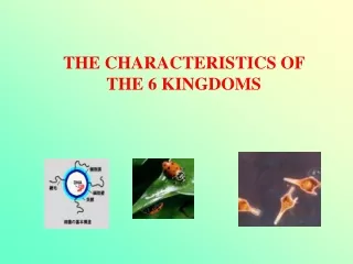 THE CHARACTERISTICS OF THE 6 KINGDOMS
