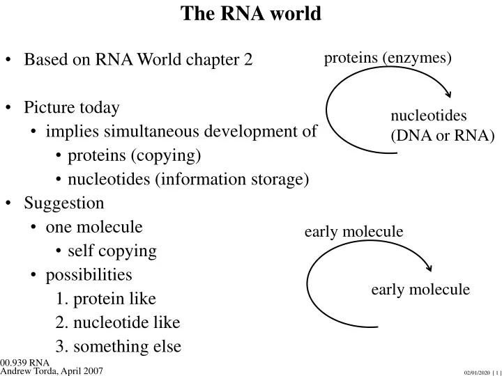 the rna world