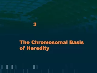 The Chromosomal Basis of Heredity