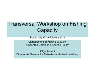 Transversal Workshop on Fishing Capacity  Rome, Italy 17-19 February 2010