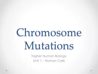 Chromosome Mutations