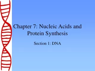 Chapter 7: Nucleic Acids and Protein Synthesis