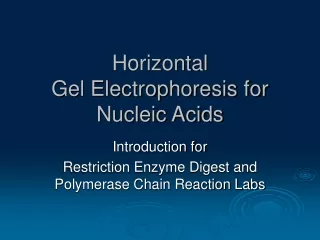 Horizontal  Gel Electrophoresis for Nucleic Acids