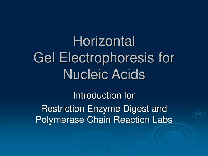 horizontal gel electrophoresis for nucleic acids