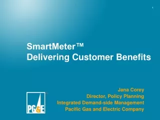SmartMeter™  Delivering Customer Benefits
