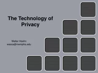 The Technology of Privacy