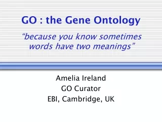 GO : the Gene Ontology “because you know sometimes words have two meanings”