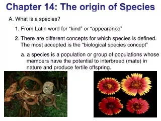 A. What is a species?          1. From Latin word for “kind” or “appearance”