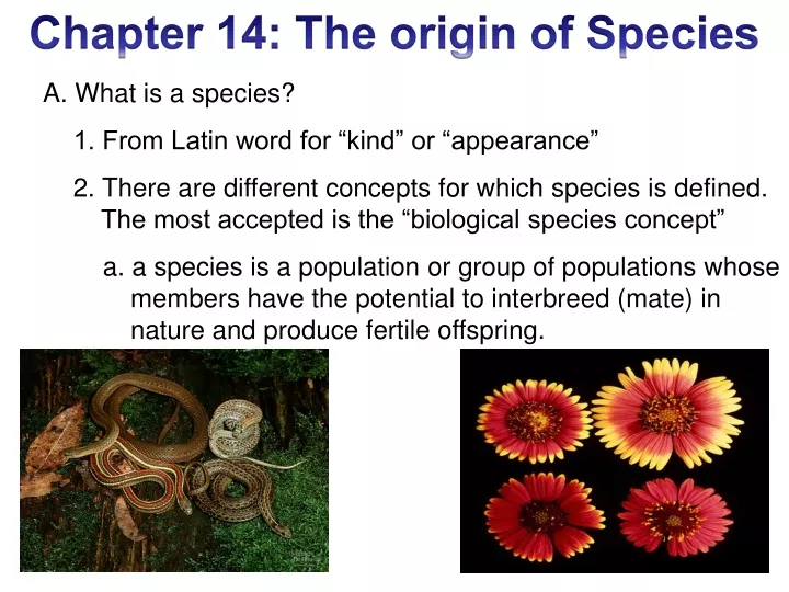chapter 14 the origin of species