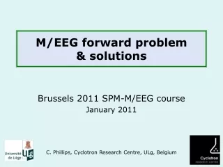 M/EEG forward problem &amp; solutions